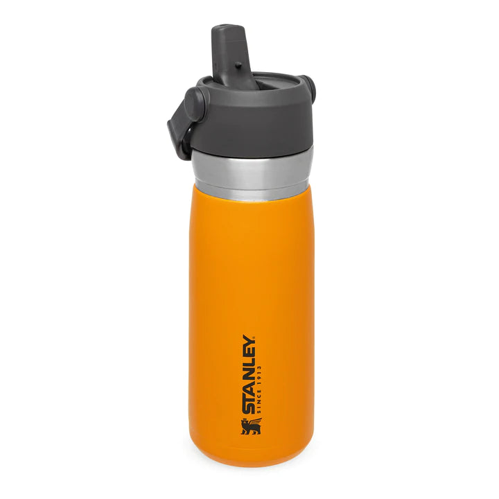 Stanley IceFlow™ Flip Straw Water Bottle .65L / 22oz