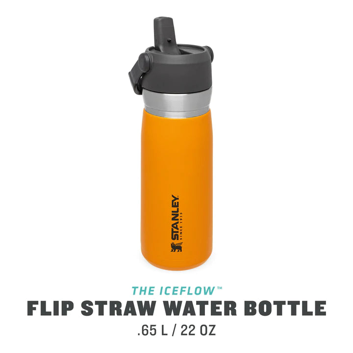 Stanley IceFlow™ Flip Straw Water Bottle .65L / 22oz