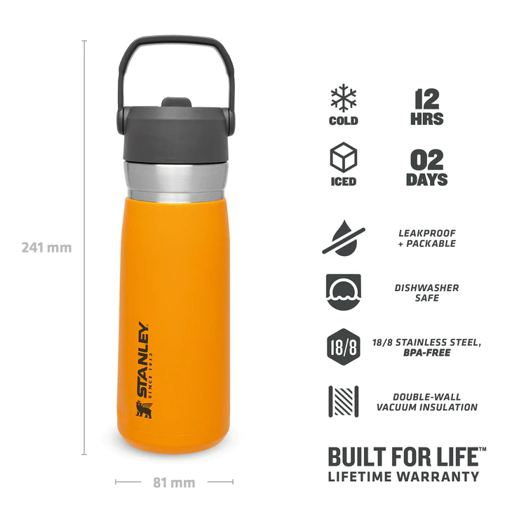 Stanley IceFlow™ Flip Straw Water Bottle .65L / 22oz